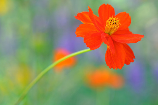 795931 (a): :1920x1275